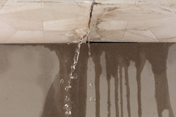 Professional Water Damage Inspection technician working in Onalaska, TX